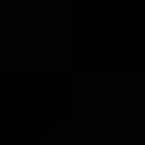 Tressey Bianco PopPic